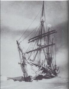 Terra Nova