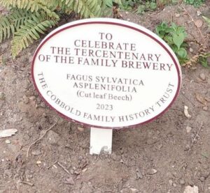 The Plaque