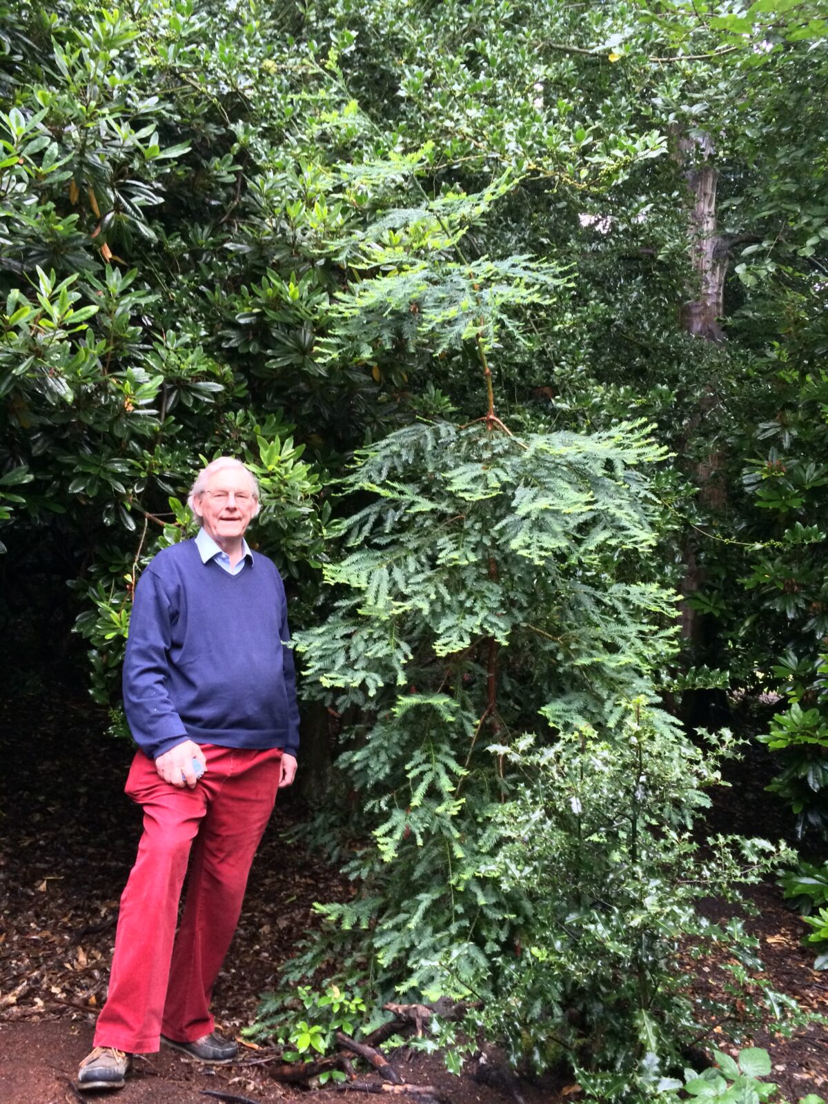 A man is standing on the left hand side of the picture with a tree on the right hand side.